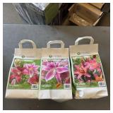 (3 Bags) Long Field Garden Flowers