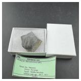 Brick Road Collectible Stone