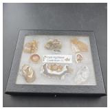 Fossil Agatized Coral From Florida.