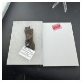 Fossilized Mammoth Tusk Ivory