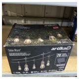 Sun Blaze 20 LED Solar String Lights