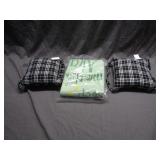 2 Mini Pillows and blanket