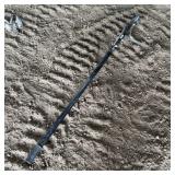 Log Roller