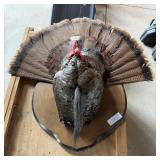 Turkey Mount