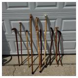 Walking Stick Collection