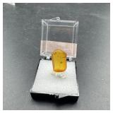 Baltic Amber Fossil in Case