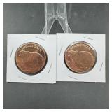 Copper Rounds ï¿½ Various Sizes & Designs ï¿½ 2 Times
