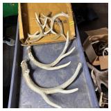 Box of Miscellaneous Deer Antlers