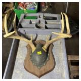 8/9-Point Buck Rack on Plaque - Approx. 18" Sprea