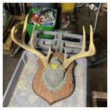 9-Point Buck Rack on Plaque