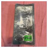 Keystone View Stereograph Card, Cocoa-nut Tree, Fl