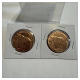 (2 Times the Bid) Grizzly Bear .999 Fine Copper Ro