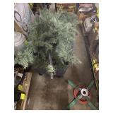 Christmas Tree & Stand