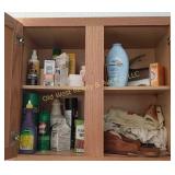 Shelves of Miscellaneous