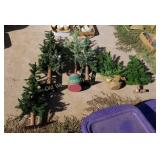 Pile of Christmas Trees