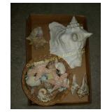 Box of Seashells