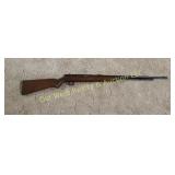 Remington 22 Rifle