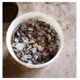 Bucket of Lead (WG)