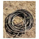Electric Wire (BG)