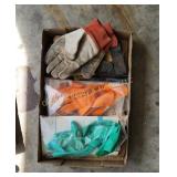 Box of Gloves (S)