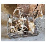 Crate of Antlers (S)