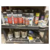 (2) Shelves of Miscellaneous