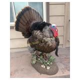 Turkey Mount (LR)