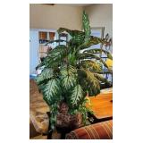 Artificial Plant (LR)