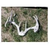 Antlers (O)