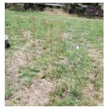 Tomato Cages (LS)