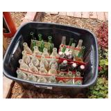 Assorted Pop Bottles (G)