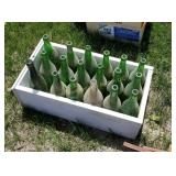 Container of Green Bottles (S)