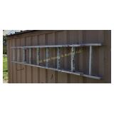 Extension Ladder (S)