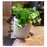 Crock & Artificial Plant (BS)
