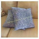 (2) Pillows