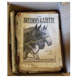 Box of Early 1900s Newspapers