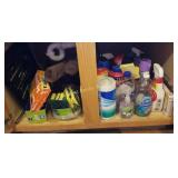 Cupboard of Cleaning Supplies