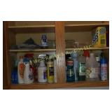 Cupboard of Cleaning Products