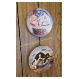 (2) Collector Plates