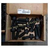 Box of Flange Bolts