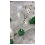 yellow delicious apple