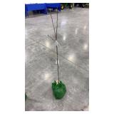 yellow delicious apple