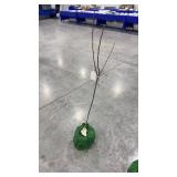 yellow delicious apple