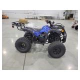 TAO Motors T125 ATV