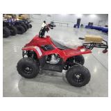 TAO Motors Boulder 110 ATV