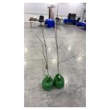 (2 honey crisp apple