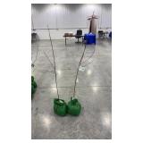 (2) Granny Smith apple dwarf tree