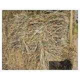 Grass Hay