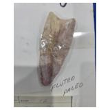 Fluted Paleo Arrowhead