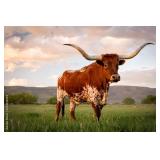 1/2 Longhorn Beef w/Processing Included